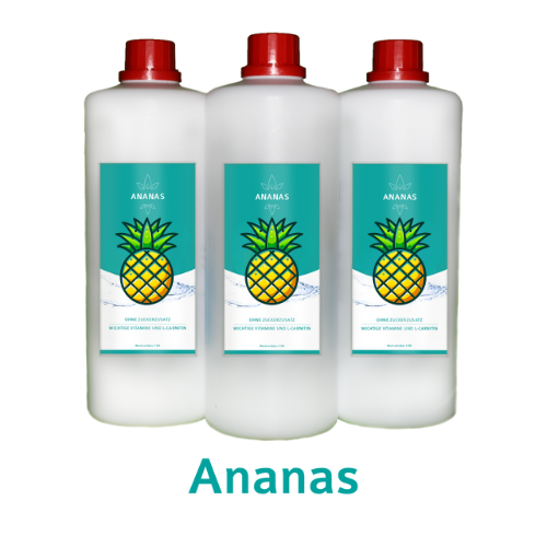 Getränkekonzentrat 1L-Flasche